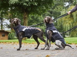 Wolters Regenjacke Xtra Strong Schwarz/neon Grün -Hundebedarf 690511 Product