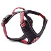 Wolters Active Pro Hundegeschirr Rot/schwarz