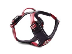 Wolters Active Pro Hundegeschirr Rot/schwarz