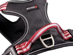 Wolters Active Pro Hundegeschirr Rot/schwarz -Hundebedarf 691937 Product