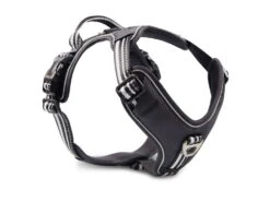 Wolters Active Pro Hundegeschirr Schwarz/schwarz
