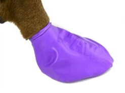 Protex Pawz Hundesocken Bunt -Hundebedarf 706041 Product