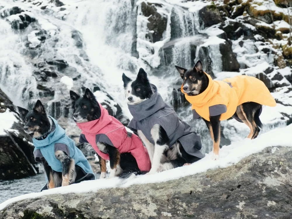 Hurtta Expedition Wintermantel Blackberry 2 Hurtta Expedition Wintermantel Blackberry – Bild 2