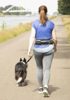 Jogging-Hüftgurt Mit Hundeleine Blau -Hundebedarf 822184 Product