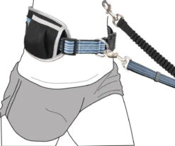 Jogging-Hüftgurt Mit Hundeleine Blau -Hundebedarf 822191 Product