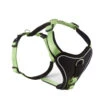 Wolters Hundegeschirr Professional Comfort Kiwi