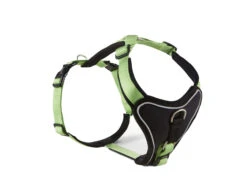 Wolters Hundegeschirr Professional Comfort Kiwi