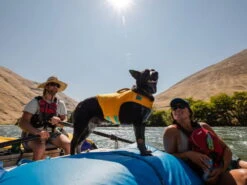 Ruffwear Float Coat™ Schwimmweste Für Hunde Wave Orange -Hundebedarf 828407 Product