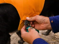 Ruffwear Float Coat™ Schwimmweste Für Hunde Wave Orange -Hundebedarf 828414 Product