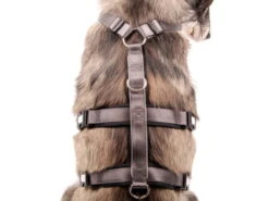 Style Snout Sicherheitsgeschirr Patch & Safe Silver -Hundebedarf 846283 Product