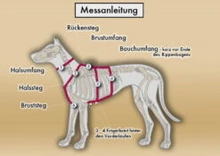 Style Snout Sicherheitsgeschirr Patch & Safe Gold -Hundebedarf 846584 Product