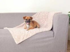 Trixie Weiche Hundedecke Cosy Beige -Hundebedarf 850876 Product