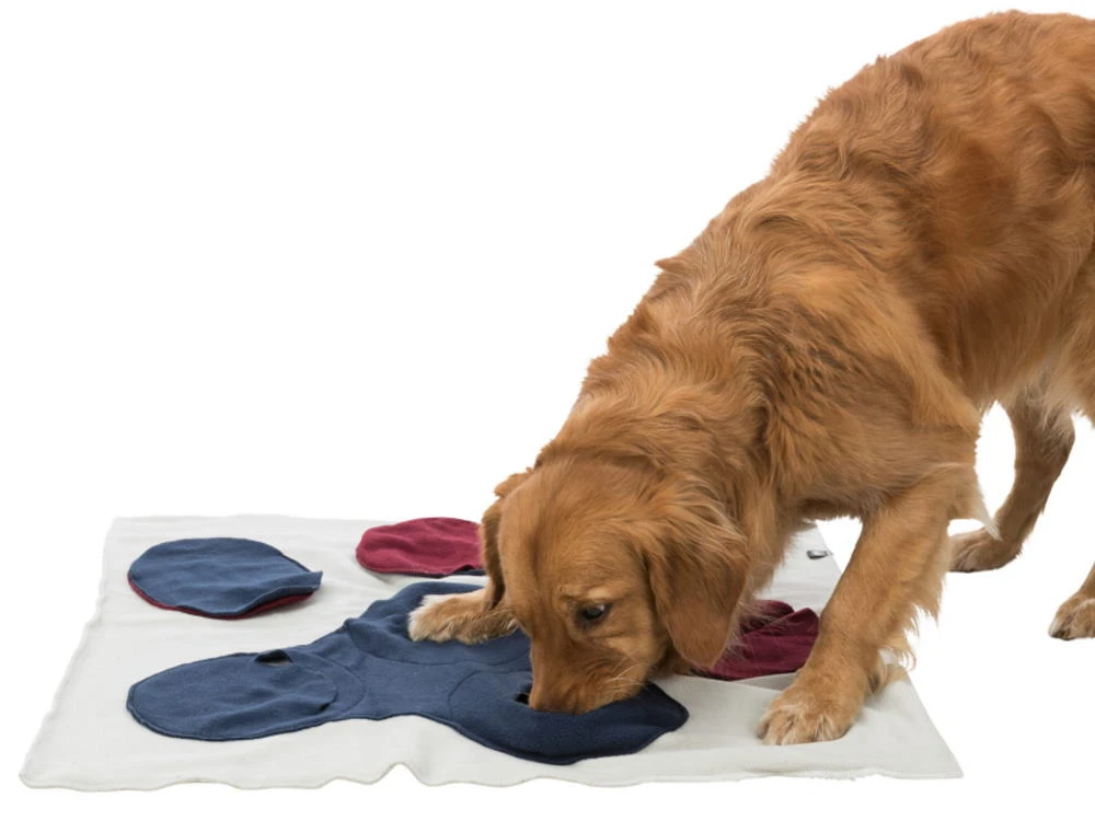 Trixie Dog Activity Schnüffeldecke Für Hunde 2 Trixie Dog Activity Schnüffeldecke Für Hunde – Bild 2