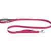 Ruffwear Front Range™ 2.0 Hundeleine Hibiscus Pink