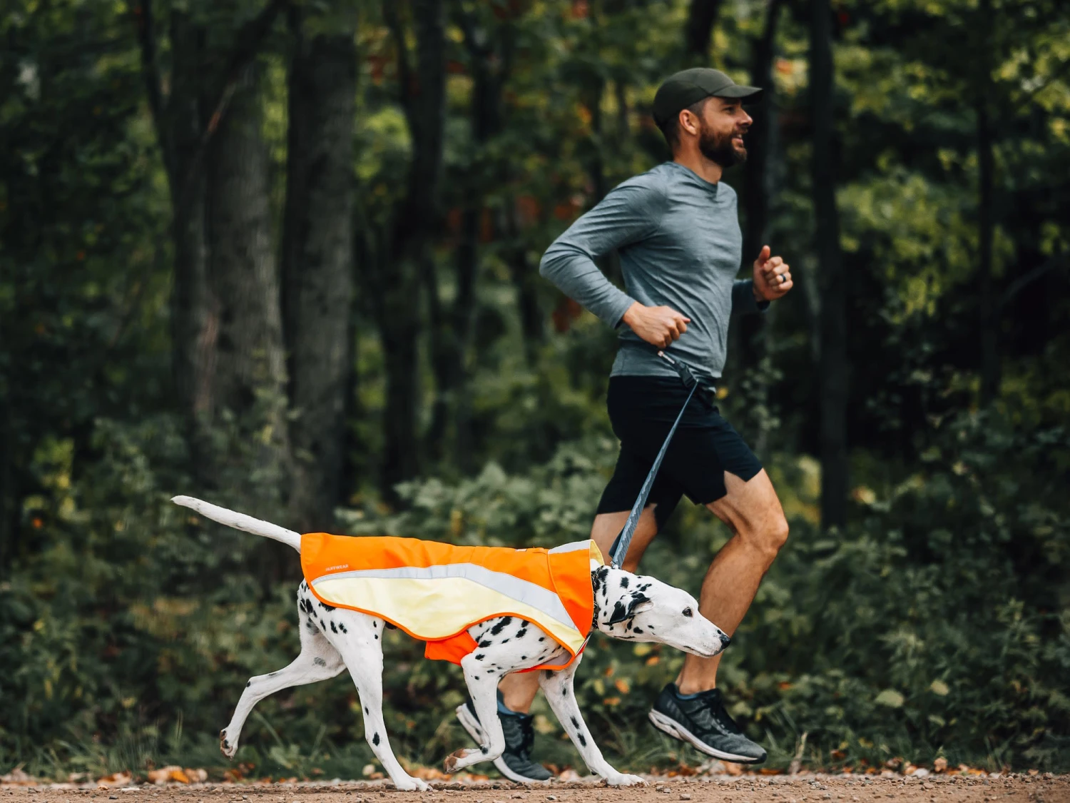 Ruffwear Lumenglow Reflektierende Weste Für Hunde Blaze Orange 5 Ruffwear Lumenglow Reflektierende Weste Für Hunde Blaze Orange – Bild 5