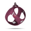 Curli Brustgeschirr Clasp Air-Mesh Ruby