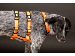 Style Snout Sicherheitsgeschirr Patch & Safe Neon-Orange-Black -Hundebedarf 878805 Product