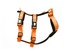 Style Snout Sicherheitsgeschirr Patch & Safe Neon-Orange-Black -Hundebedarf 878806 Product