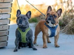 Dog Copenhagen Comfort Walk Go Hundegeschirr Mocca -Hundebedarf 895326 Product