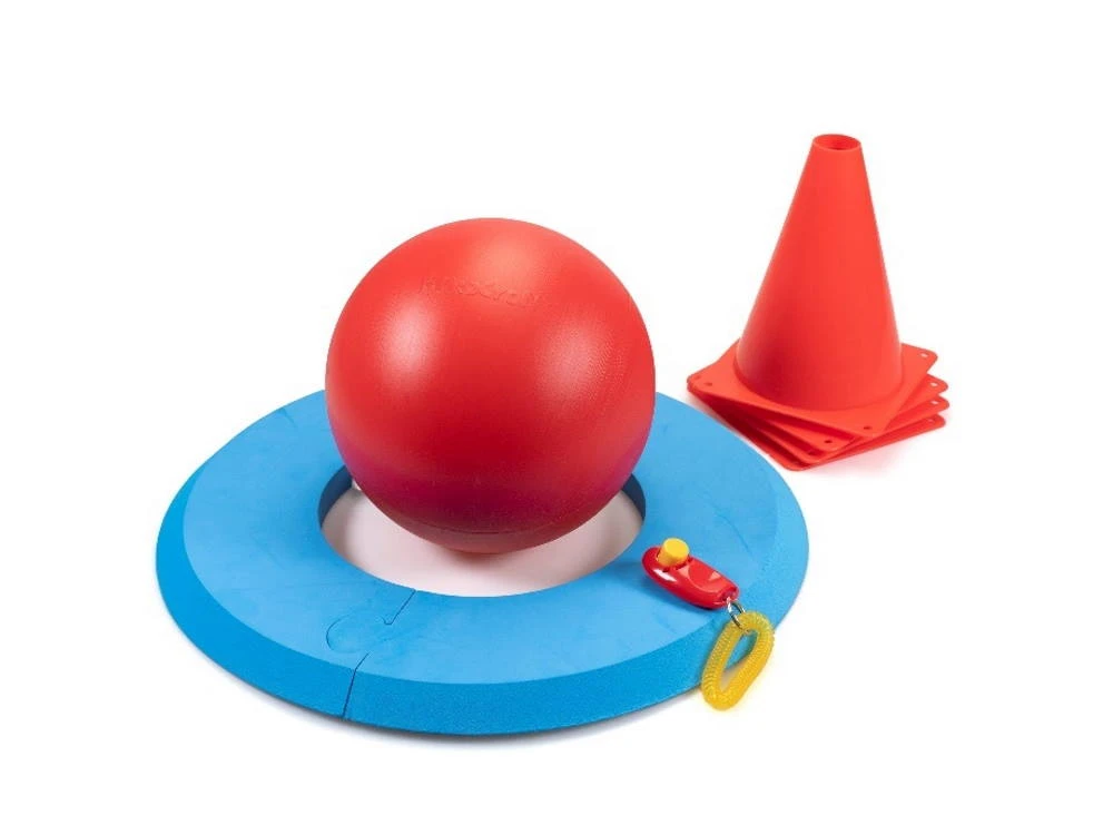 Dog Golf Spielset Für Hunde 1 Dog Golf Spielset Für Hunde