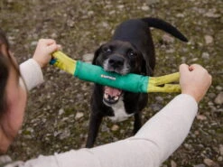 Ruffwear Pacific Loop Hundespielzeug Aurora Teal -Hundebedarf 902772 Product