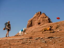 Ruffwear Approach™ Pack Hunderucksack Blue Dusk -Hundebedarf 902834 Product