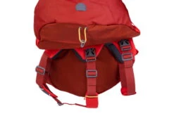 Ruffwear Palisades Pack Hunderucksack Red Sumac -Hundebedarf 903754 Product