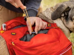 Ruffwear Palisades Pack Hunderucksack Red Sumac -Hundebedarf 903758 Product