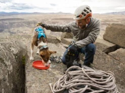 Ruffwear Camp Flyer Hunde-Frisbeescheibe Red Sumac -Hundebedarf 904835 Product