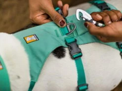 Ruffwear® Flagline™ 2.0 Hundegeschirr Sage Green -Hundebedarf 911352 Product