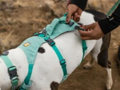 Ruffwear® Flagline™ 2.0 Hundegeschirr Sage Green -Hundebedarf 911354 Product