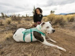 Ruffwear® Flagline™ 2.0 Hundegeschirr Sage Green -Hundebedarf 911355 Product