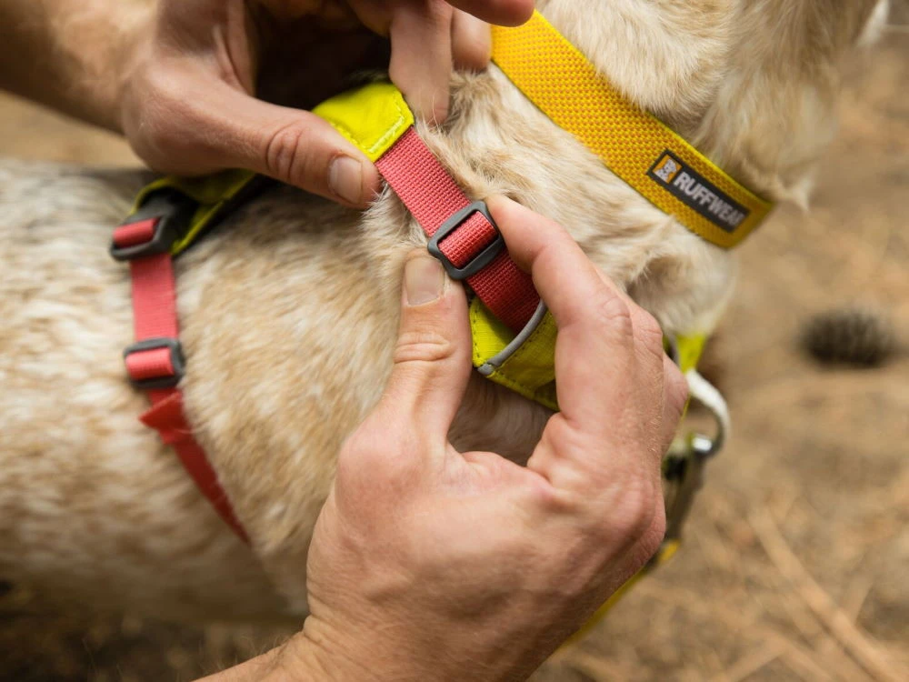 Ruffwear Hi & Light™ Hundegeschirr 2.0 Lichen Green 8 Ruffwear Hi & Light™ Hundegeschirr 2.0 Lichen Green – Bild 8