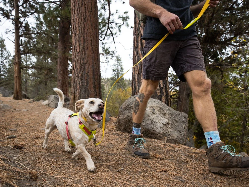 Ruffwear Hi & Light™ Hundegeschirr 2.0 Lichen Green 10 Ruffwear Hi & Light™ Hundegeschirr 2.0 Lichen Green – Bild 10