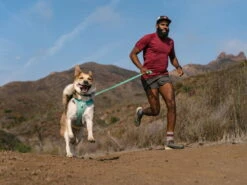 Ruffwear Hi & Light™ Hundegeschirr 2.0 Sage Green -Hundebedarf 912930 Product