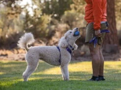 Ruffwear Turnup™ Befüllbares Hundespielzeug Heliotrop Purple -Hundebedarf 915289 Product