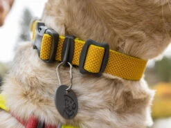 Ruffwear Hi & Light™ Leichtes Hundehalsband Lichen Green -Hundebedarf 915929 Product