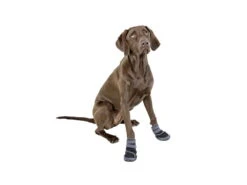Hundeschuhe Pfotenschutz Active 2-er Set -Hundebedarf 926391 Product
