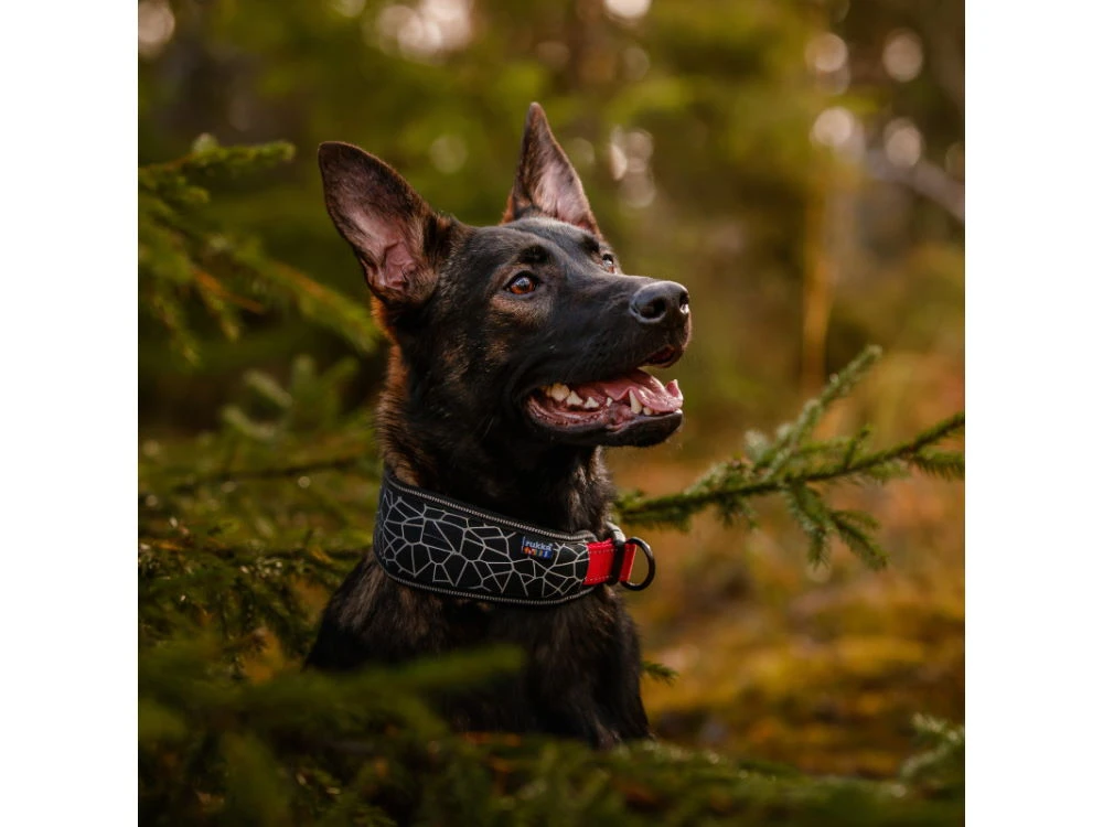 Rukka Pets Neopren Halsband Cube Soft Gepolstert 3 Rukka Pets Neopren Halsband Cube Soft Gepolstert – Bild 3