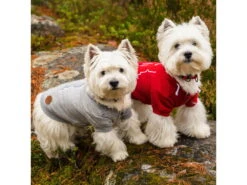 Rukka Pets Hunde-Hoodie Sierra Grau -Hundebedarf 935191 Product