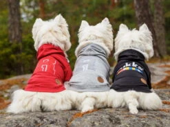 Rukka Pets Hunde-Hoodie Sierra Grau -Hundebedarf 935192 Product