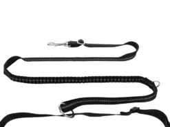 Trixie Jogginggurt Mit Leine -Hundebedarf 940657 Product