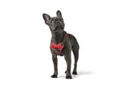 Hunter Hundegeschirr Divo Rot/grau -Hundebedarf 942195 Product