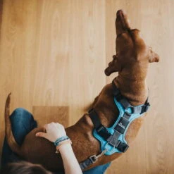 Hunter Hundegeschirr Divo Hellblau/grau -Hundebedarf 943022 Product