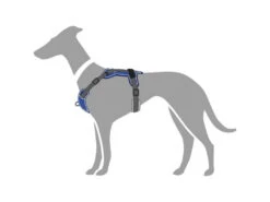 Hunter Hundegeschirr Divo Blau/grau -Hundebedarf 943412 Product