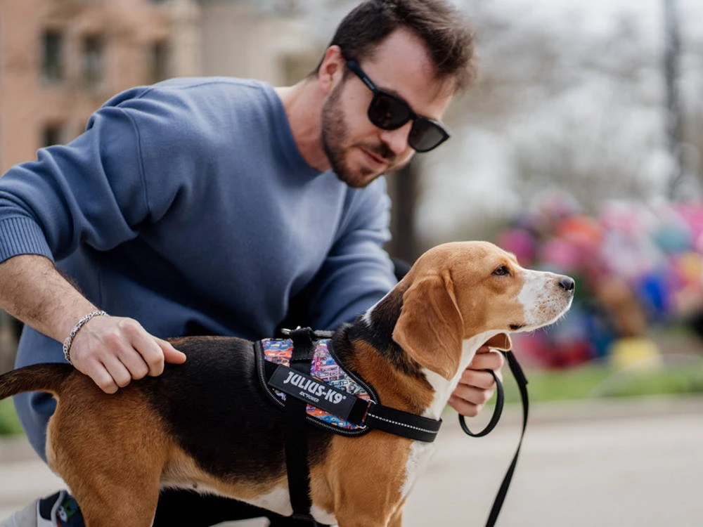 Julius K9 IDC Power Hundegeschirr Stockholm 2 Julius K9 IDC Power Hundegeschirr Stockholm – Bild 2