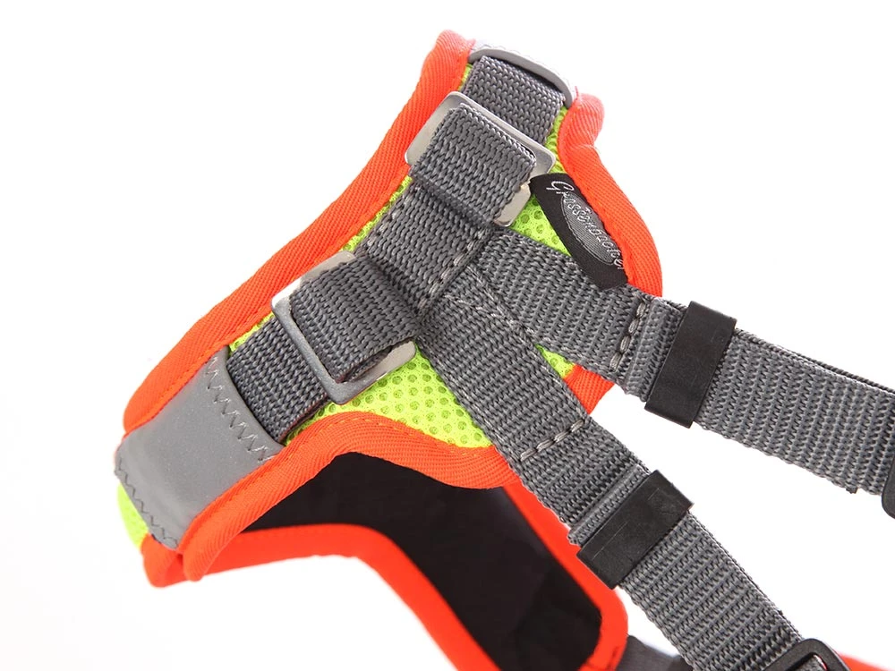 Grossenbacher Mantrailing Hundegeschirr Vary V-Trailer 2 Grossenbacher Mantrailing Hundegeschirr Vary V-Trailer – Bild 2