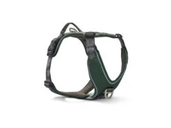 Wolters Active Pro Comfort Hundegeschirr Grün/anthrazit
