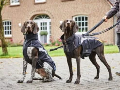 Wolters Hundejacke Xtra Strong Schwarz/riverside Blue -Hundebedarf 972318 Product