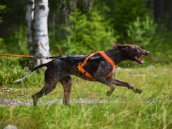 Non-Stop Dogwear Zughundegeschirr Freemotion Harness 5.0 Orange -Hundebedarf 978358 Product
